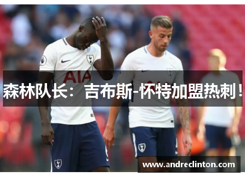 森林队长：吉布斯-怀特加盟热刺！